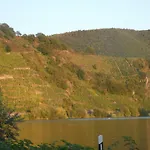 Hausboot Moselrose In 보트호텔 Polich