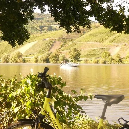 Hausboot Moselrose In Pölich