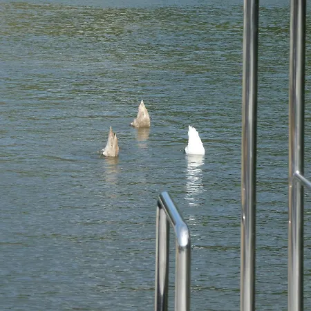 Hausboot Moselrose In 보트호텔 Polich