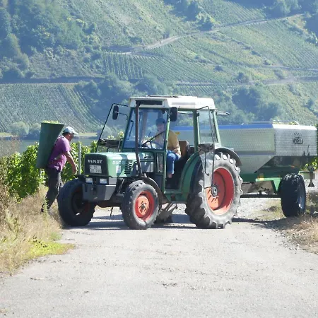Hausboot Moselrose In Botel