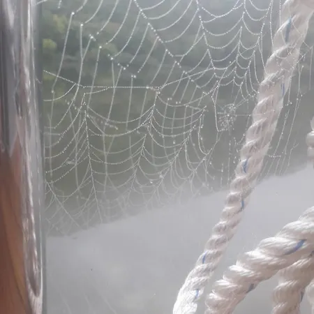 Botel Hausboot Moselrose In