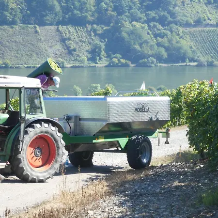 보트호텔 Hausboot Moselrose In