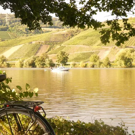 보트호텔 Hausboot Moselrose In