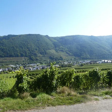 Hausboot Moselrose In 보트호텔 *