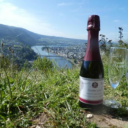 Hausboot Moselrose In *