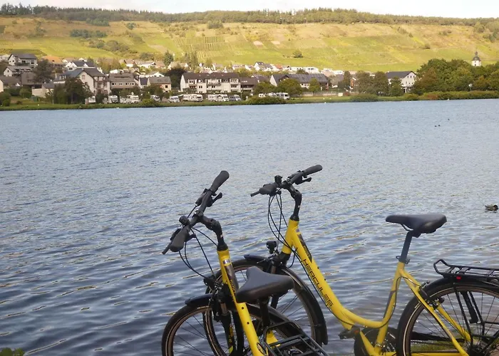 Botel Hausboot Moselrose In *