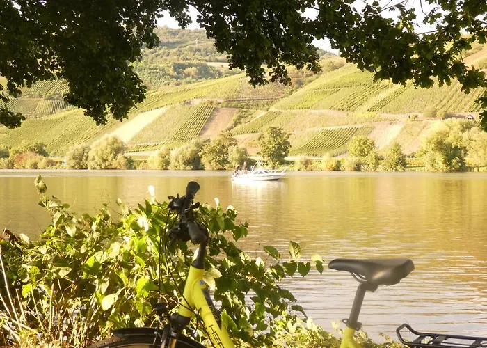 Hausboot Moselrose In