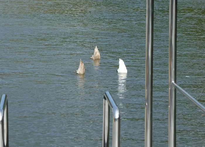 Hausboot Moselrose In Bateau-hôtel Polich