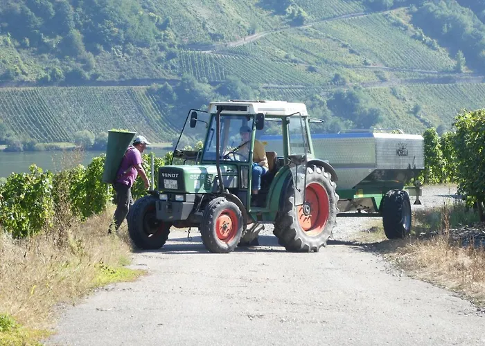 Hausboot Moselrose In Botel