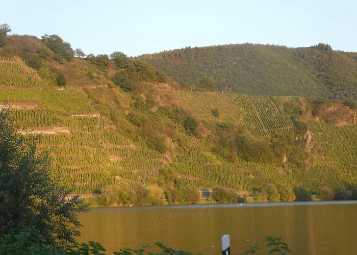 Hausboot Moselrose In Bateau-hôtel Polich