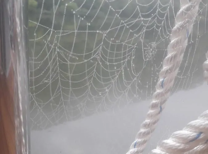 Bateau-hôtel Hausboot Moselrose In