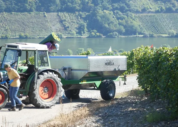 Bateau-hôtel Hausboot Moselrose In