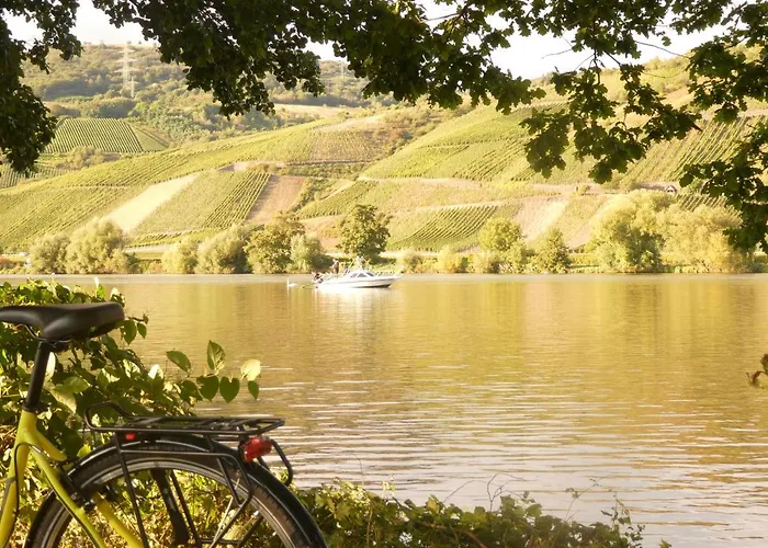 Bateau-hôtel Hausboot Moselrose In