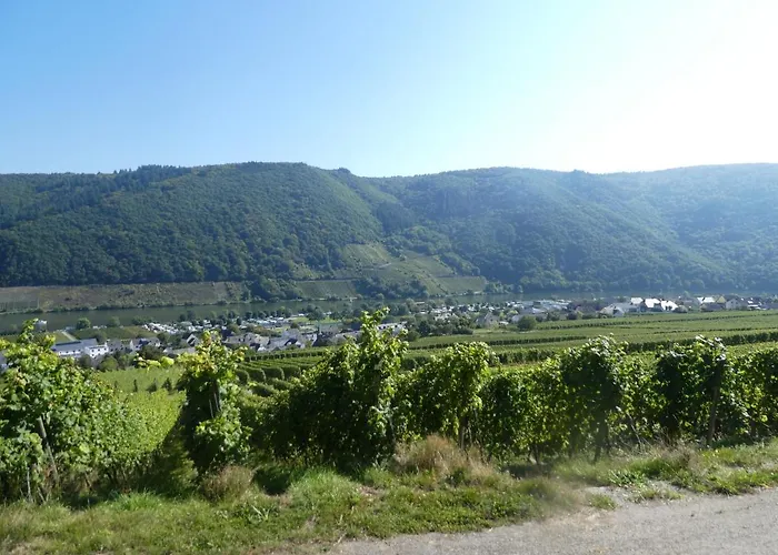 Hausboot Moselrose In Bateau-hôtel *